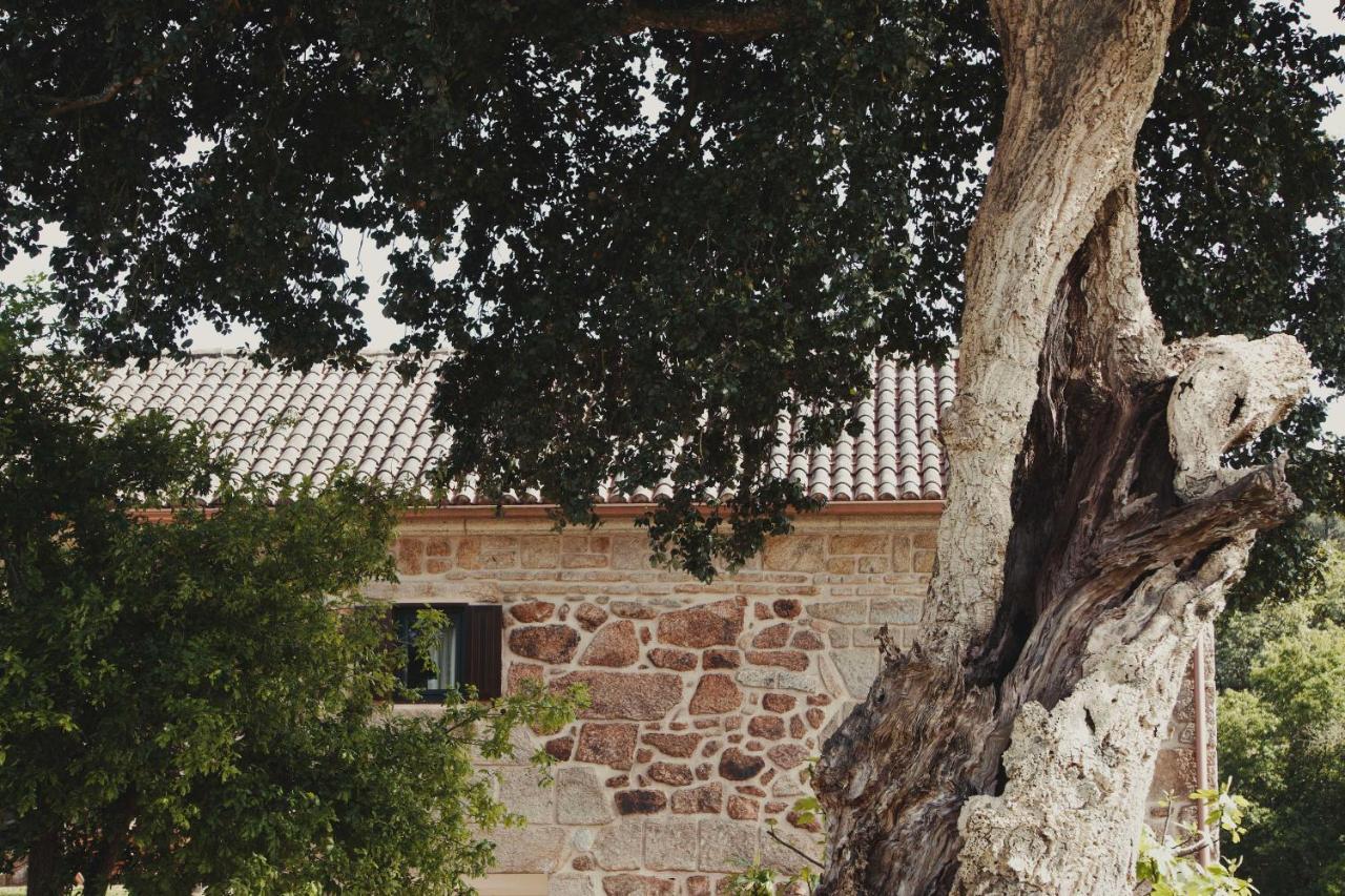 Casa Rural El Abuelo De Arcos - Only Adults Meis Exterior photo